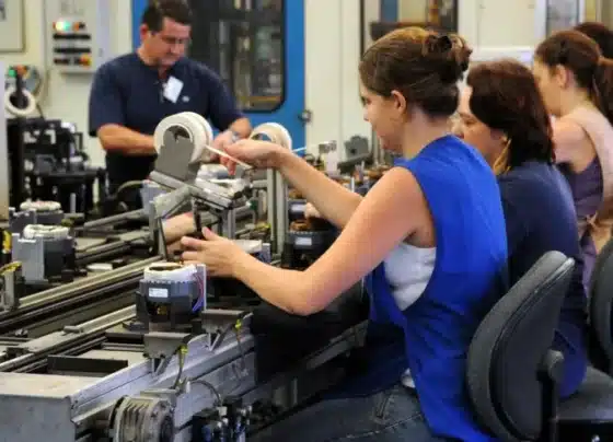 Emprego nas micro e pequenas empresas cresce 22,8% de agosto para setembro | ASN Nacional