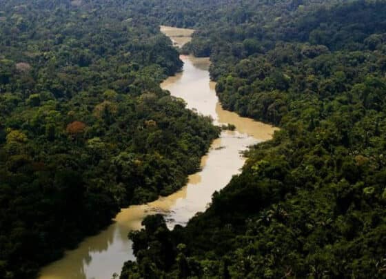 Justiça climática: da promessa global à ação local   | ASN Nacional