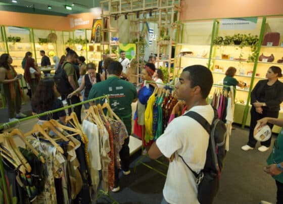 Loja da bioeconomia do Sebrae vende R$ 50 mil no 1° dia da COP | ASN Nacional