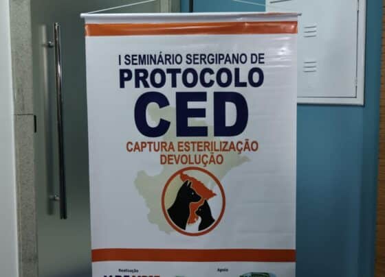 MPF-SE realiza I Seminário de Protocolo CEVD com foco no manejo ético de gatos de vida livre