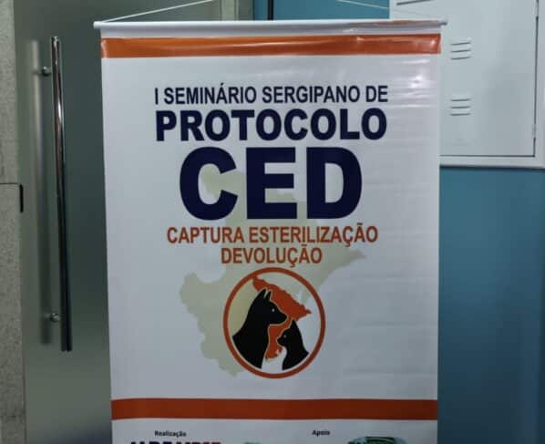 MPF-SE realiza I Seminário de Protocolo CEVD com foco no manejo ético de gatos de vida livre