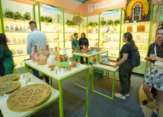 Mais de R$ 800 mil de faturamento: Brasil BioMarket conclui COP30 como a grande vitrine da bioeconomia | ASN Nacional