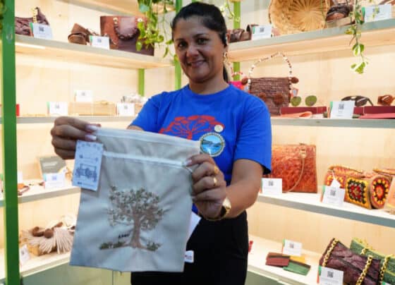 Mulheres da bioeconomia ganham protagonismo no Dia Mundial do Empreendedorismo Feminino na COP30 | ASN Nacional