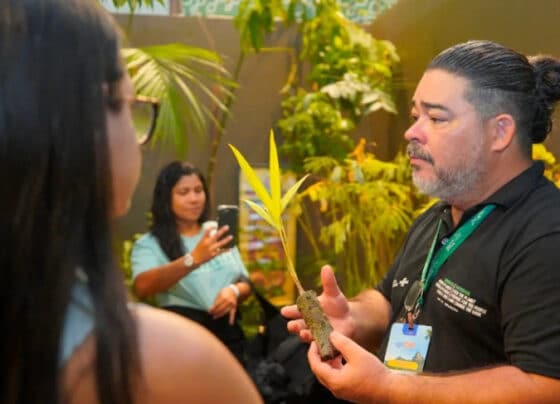 Na AgriZone da COP30, Sebrae recria floresta amazônica e encanta visitantes: “É como entrar no ciclo da vida” | ASN Nacional