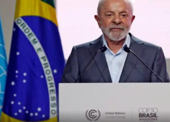 Na COP da Verdade, os pequenos negócios ganham voz | ASN Nacional