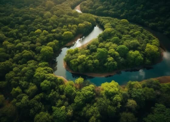 Na COP30, Sebrae firma parceria para incluir os pequenos negócios nas estratégias climáticas globais | ASN Nacional