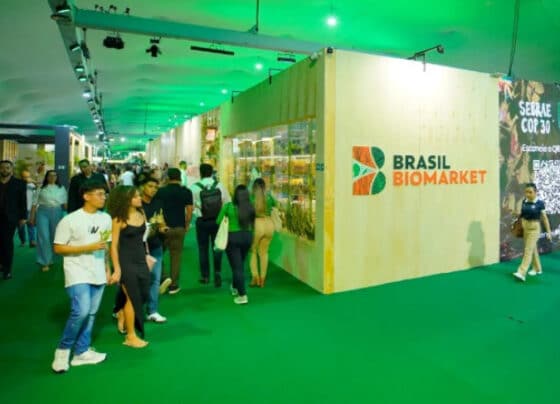 Participação do Sebrae na COP30 terá compensação integral de carbono | ASN Nacional