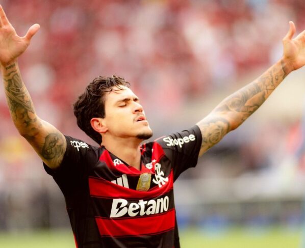 Copiar link