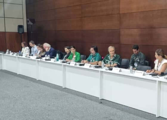 Pequenos negócios são peça-chave da transição verde, defendem especialistas na Blue Zone | ASN Nacional