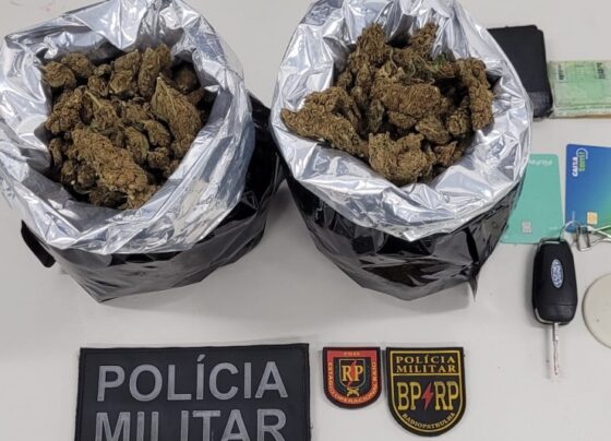 Polícia Militar apreende cerca de 1Kg de maconha do tipo flor na Zona Norte da capital – P.M.S.E.