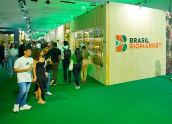 Sebrae convida público a vivenciar a força dos pequenos negócios amazônicos na segunda semana da COP30 | ASN Nacional