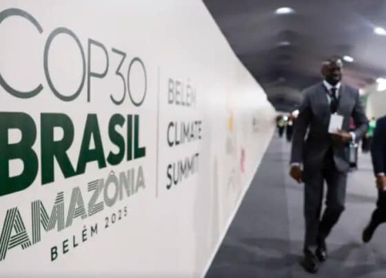 Sebrae cria Zona do Empreendedorismo na COP30 | ASN Nacional