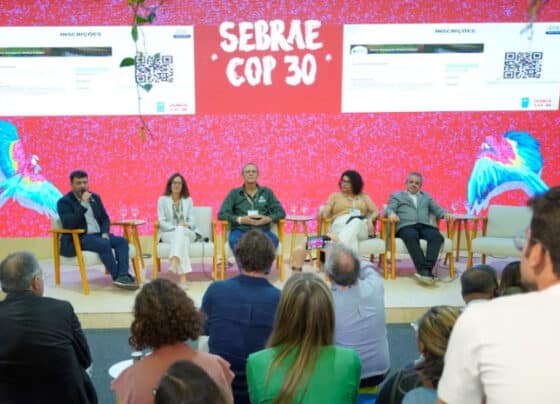 Sebrae lança edital na COP30 para internacionalizar 80 startups da Amazônia | ASN Nacional