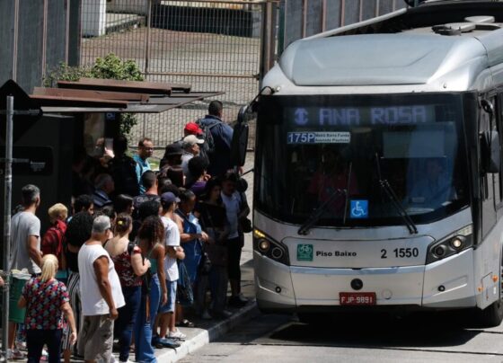 Setor de serviços cresce 0,6% em setembro; oitavo mês seguido de alta – RO Acontece