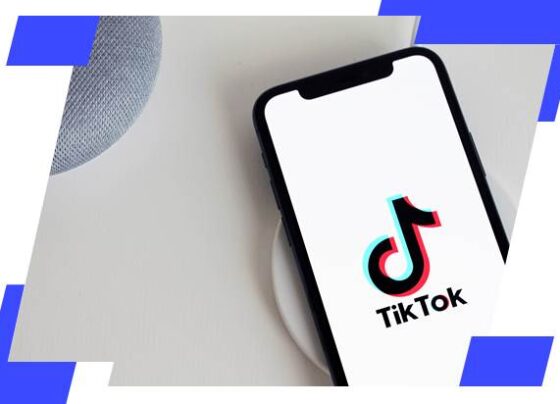 Sebrae e TikTok Shop fecham parceria para treinar lojistas para a Black Friday | ASN Nacional