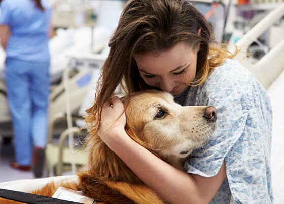 como a relação com os pets tem ajudado no tratamento da saúde