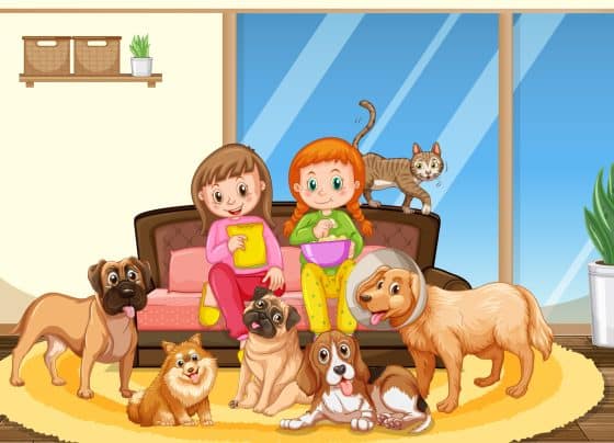 Agora é Lei: Sergipe proíbe limitação arbitrária do número de animais domésticos em residências