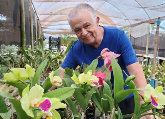 Aposentado transforma hobby em fonte de renda e se reinventa aos 57 anos | ASN Nacional