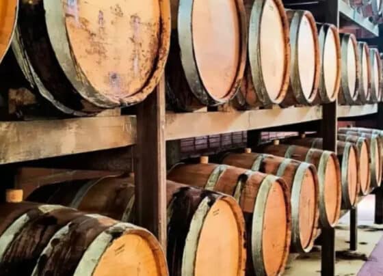 Brasil alcança 150 IGs nacionais e celebra reconhecimento de duas novas regiões produtoras de cachaça | ASN Nacional