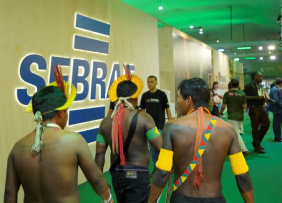 COP30: Sebrae lota arenas, amplia projeção global e anuncia compensação climática em participação histórica | ASN Nacional