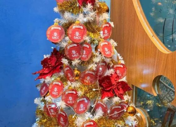 GACC inaugura Árvore de Natal e apela por arrecadação de presentes para acolhidos – FaxAju