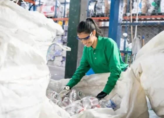 Inclusão e geração de renda: Sebrae promove rodada de negócios entre indústrias e organizações de catadores | ASN Nacional