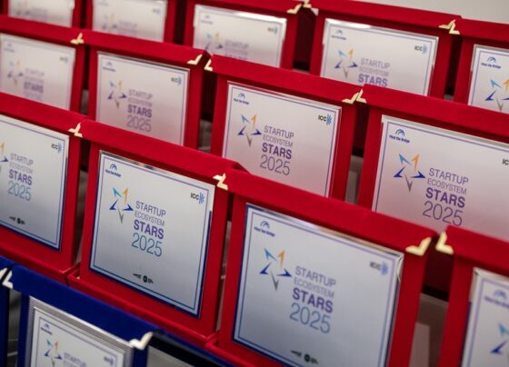 Portugal distinguido nos SES Awards 2025 pela inovação empreendedora