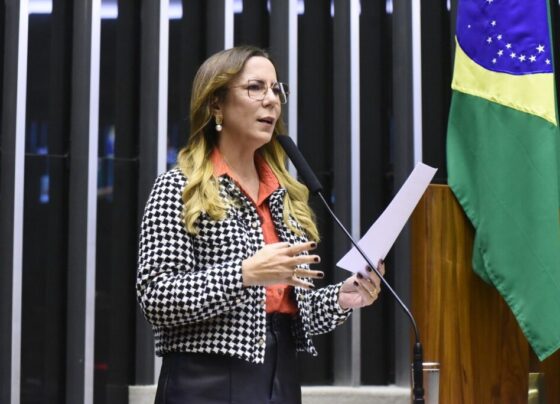 o Sergipe que gera empregos, reduz desigualdades e moderniza serviços ”, diz delegada Katarina em discurso na Câmara  – RO Acontece