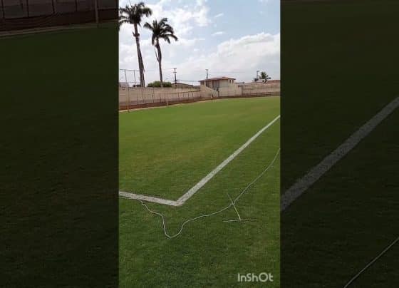 O gramado para o jogo CSA X Confiança tá perfeito