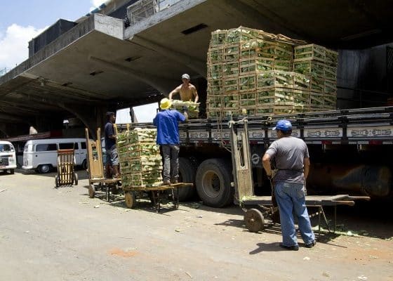 Agora é Lei: Movimentador de Mercadorias tem data comemorativa