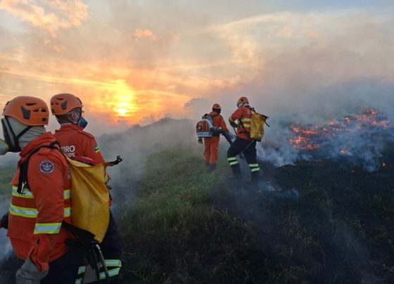 CBMSE atua em ocorrência de incêndio em Cristinápolis, no âmbito da Operação Protetor dos Biomas – RO Acontece