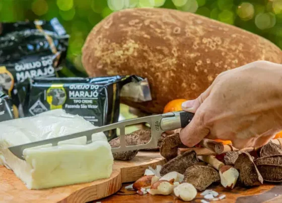 Dia Mundial do Queijo: o sabor artesanal brasileiro que conquista o mercado | ASN Nacional