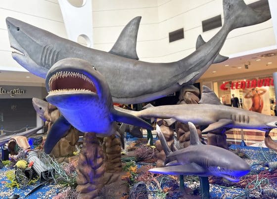 Estreias do cinema, exposição de tubarões e atividades lúdicas em Aracaju – FaxAju