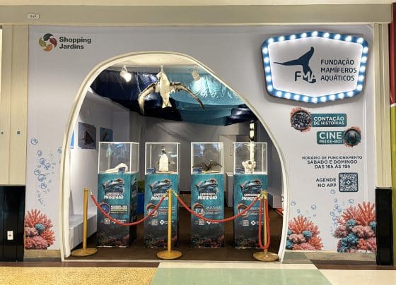 FMA e Shopping Jardins promovem um mergulho educativo pela vida marinha – FaxAju