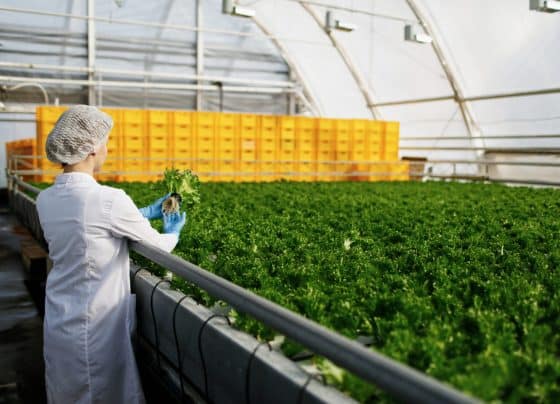 Incentivo à agroindústria avança com aprovação de projeto na Alese