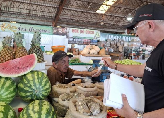 Mercado Maria Virgínia Leite Franco recebe mutirão de limpeza no domingo – FaxAju