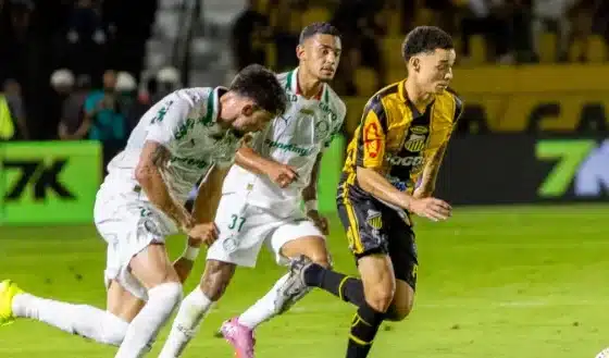 Novorizontino 4 x 0 Palmeiras