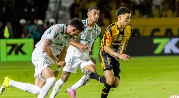 Novorizontino 4 x 0 Palmeiras