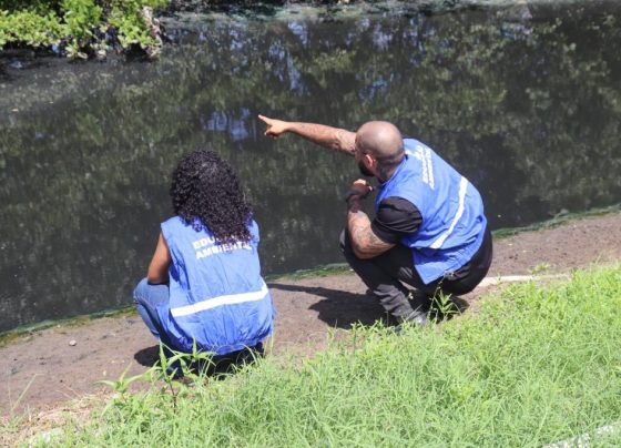 PMA vai realizar sensibilização ambiental em imóveis no entorno do Parque Tramandaí – FaxAju