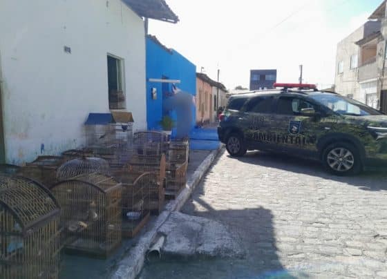 PMSE autua mulher por comercialização de aves silvestres na Barra dos Coqueiros – P.M.S.E.