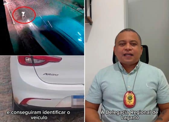 Polícia localiza motorista que atropelou cachorro no povoado Barro Vermelho