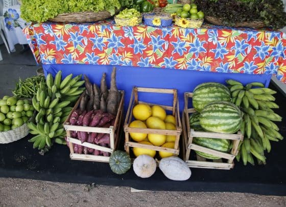 Projeto incentiva Circuito Estadual de Feiras do Agronegócio