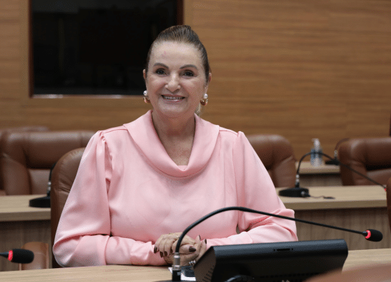 Retrospectiva 2025: Deputada Áurea Ribeiro