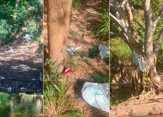 Rio do Parque das Palmeiras vira ponto de lazer e descarte de lixo por visitantes gera alerta