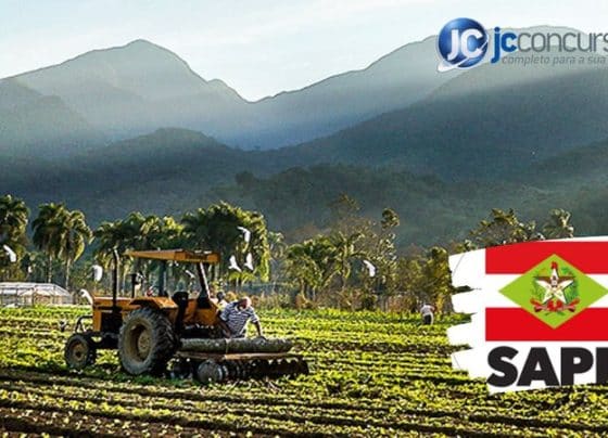 edital para vagas de nível superior deve sair em fevereiro