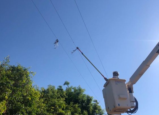 saiba os principais cuidados para evitar acidentes com a rede elétrica – FaxAju