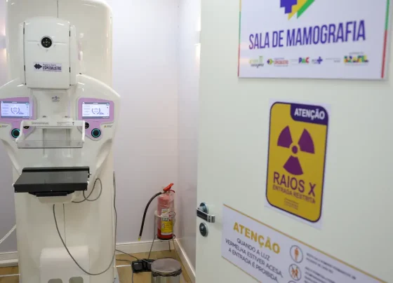Quatro em cada dez mortes por câncer no Brasil são evitáveis