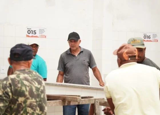 Adequação das bancas do Mercado Municipal de Siriri garante mais organização, segurança e conforto – RO Acontece
