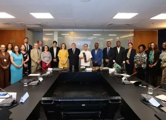 Brasil e Moçambique reforçam cooperação para apoiar pequenos negócios | ASN Nacional