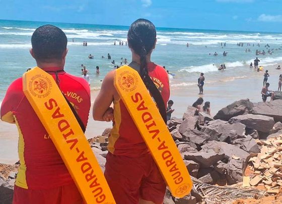 Carnaval em Sergipe teve 31 afogamentos e 21 acidentes com animais marinhos